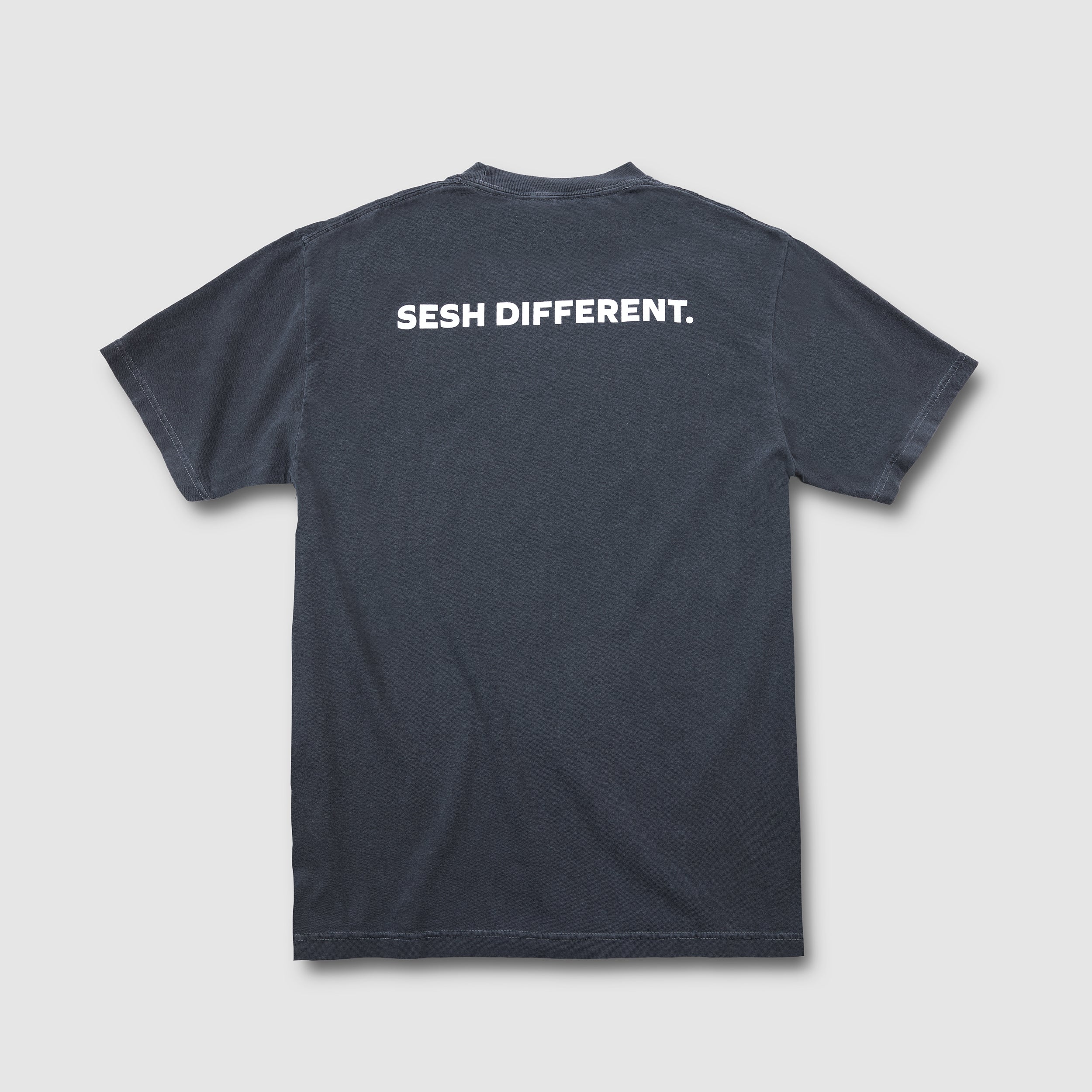 Artifact official Sesh Different branded t-shirt in vintage black - Back View