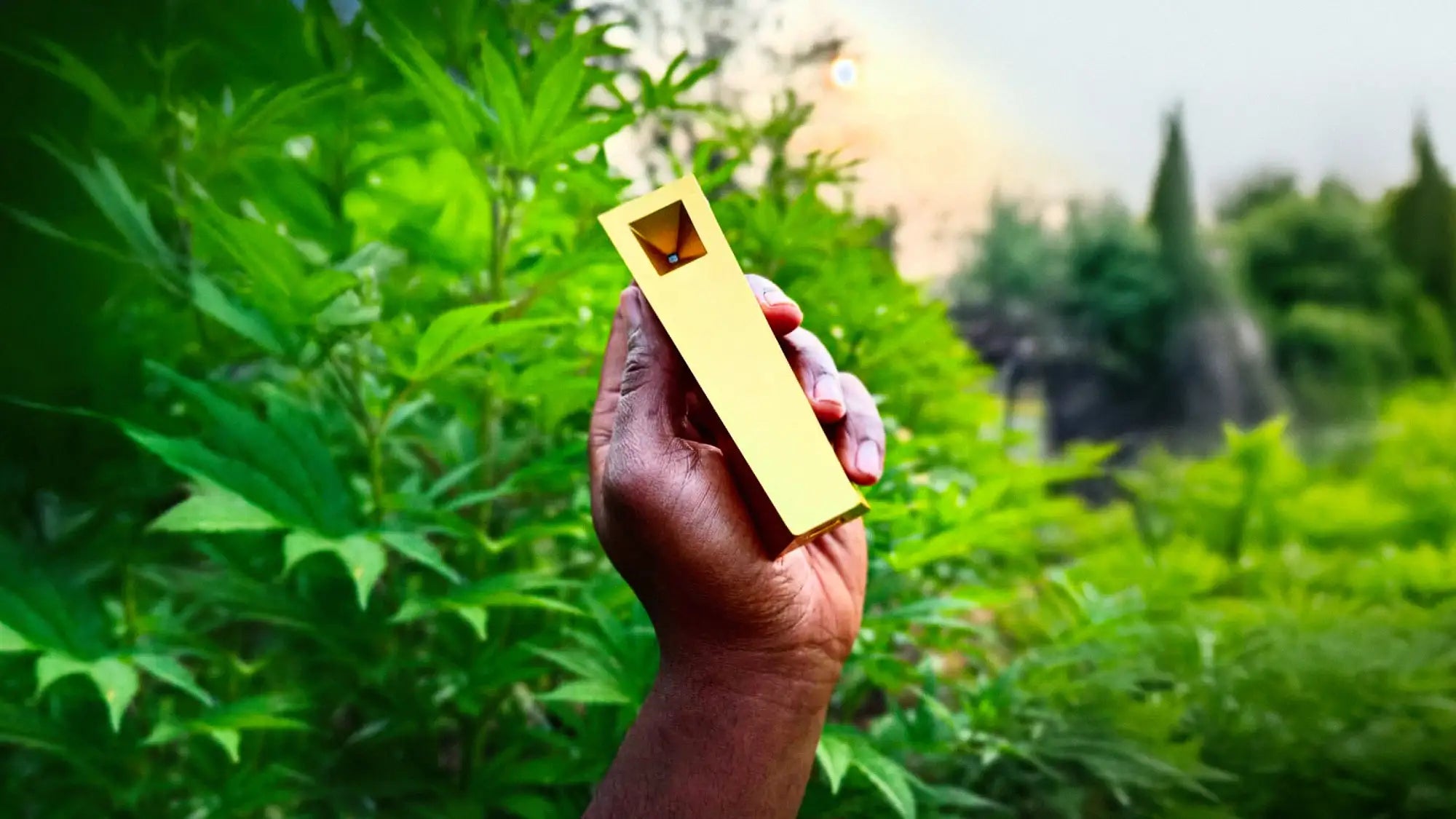 Hand holding a gold Tempest smoking pipe in a lush nature